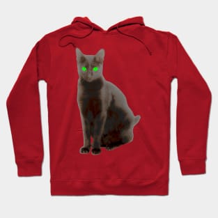 Black Ghostly Cat Hoodie